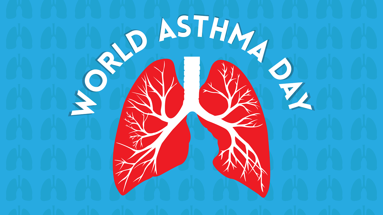 Graphic for white text reading World Asthma Day against a blue background, with a diagram of lungs underneath