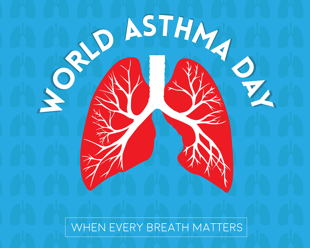 Graphic for white text reading World Asthma Day against a blue background, with a diagram of lungs underneath